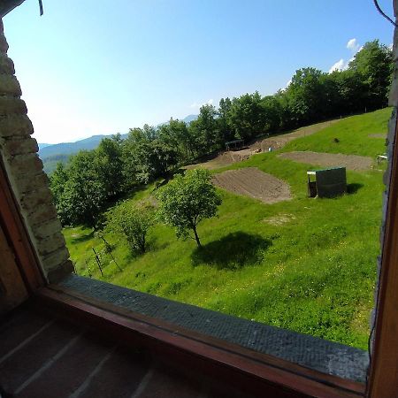 Agriturismo Paneolio Villa Collemandina Luaran gambar