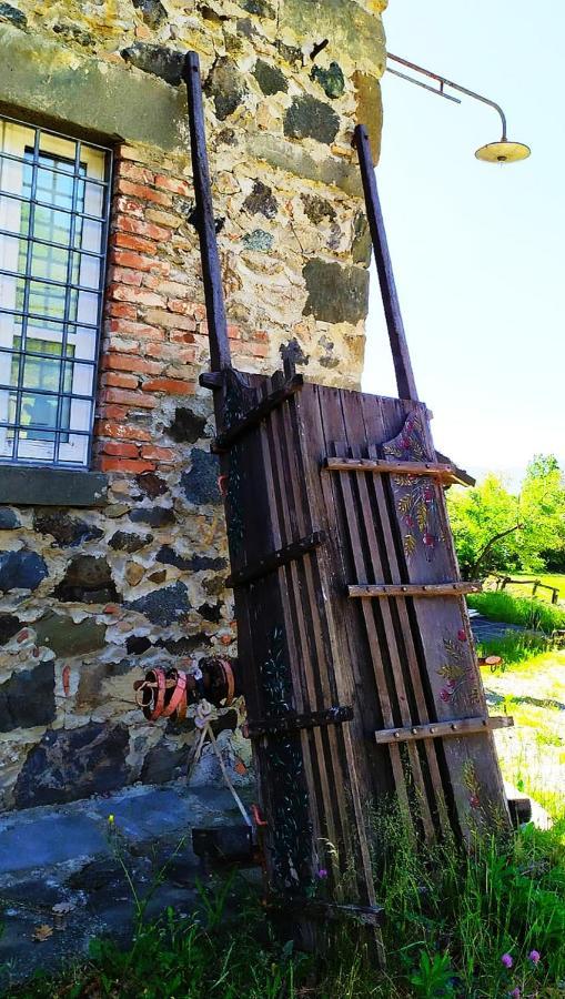 Agriturismo Paneolio Villa Collemandina Luaran gambar