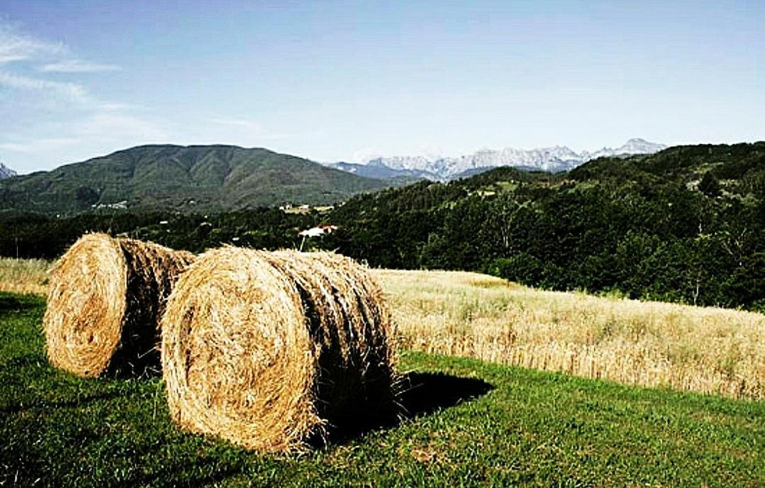 Agriturismo Paneolio Villa Collemandina Luaran gambar