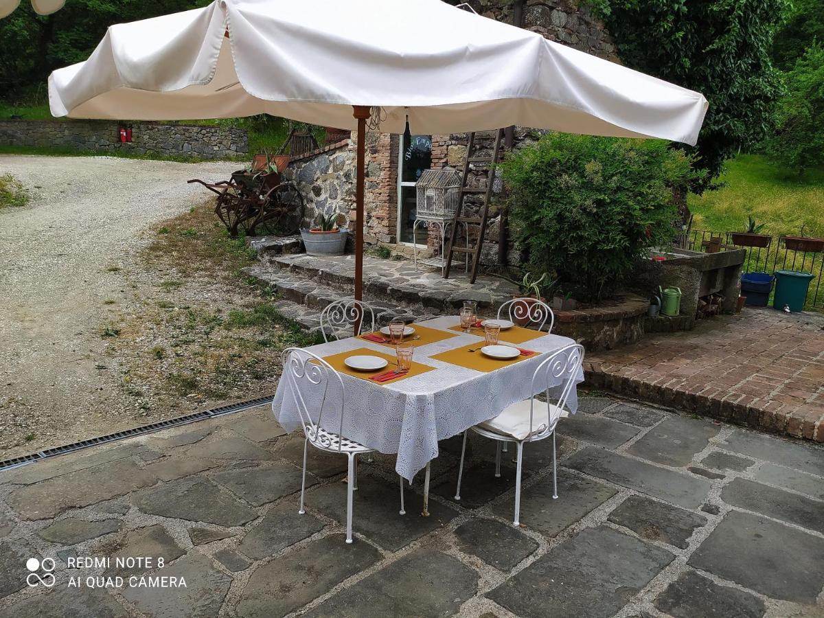 Agriturismo Paneolio Villa Collemandina Luaran gambar